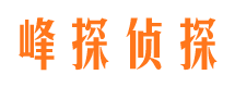 旌阳找人公司